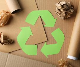 Reciclagem do Papel, um aliado da economia circular